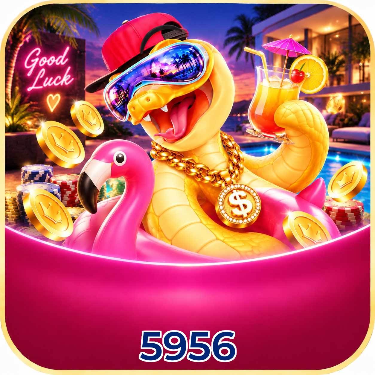 5956 FAQ instalar app